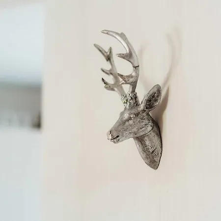 Silberhirsch Appartamento *